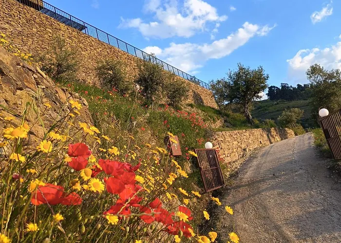 Σπίτι διακοπών Quinta Do Fraguil - Douro Valley